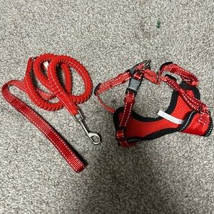 Cat harness and leash